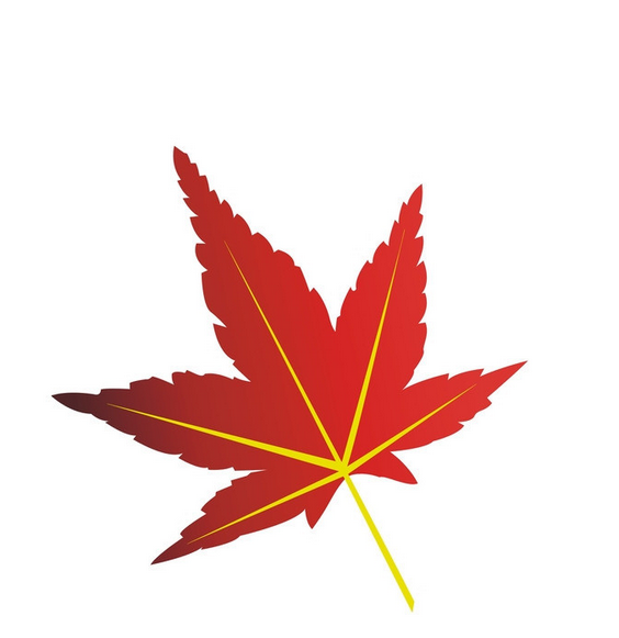 德立華移動電源板